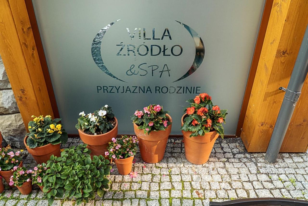 Villa Zrodlo & Spa Krynica Zdroj Exterior photo